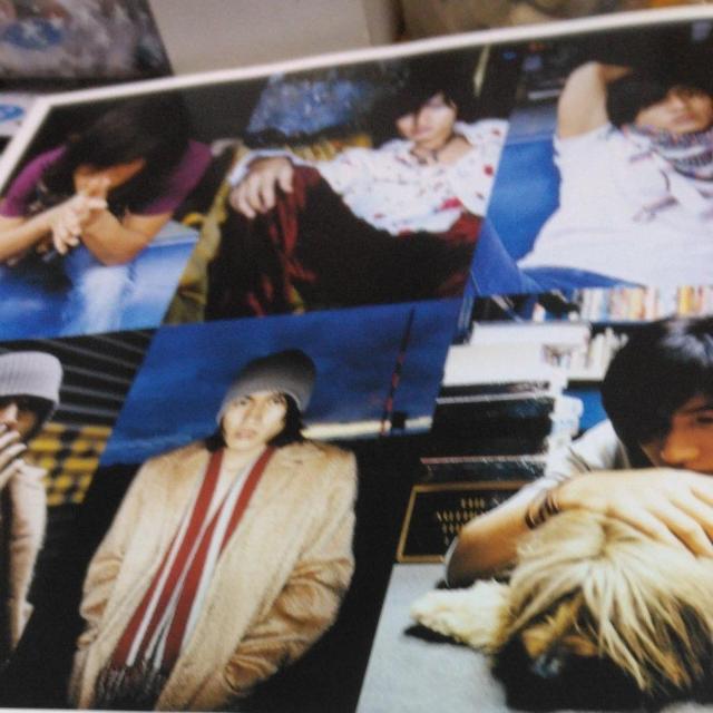 ☆ジェリーイェン☆両棲類動物写真集 < タレントグッズ  ☆ジェリーイェン☆両棲類動物写真集 < タレントグッズの