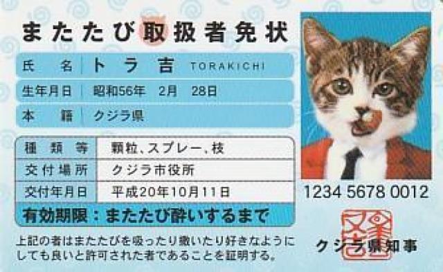 なめ猫パロディーカード 4種【B-23】 < ホビー  なめ猫パロディーカード 4種【B-23】 < ホビーの