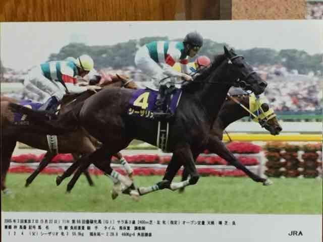 激レア ディープインパクト セット < ホビー  激レア ディープインパクト セット < ホビーの