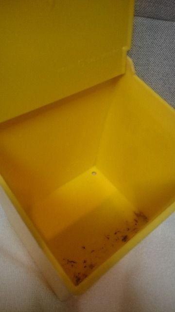  MdIm 󋍓(|Xg) JcQ a50N kC   