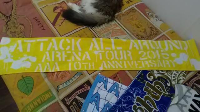 AAA・10thマフラータオル・黄色 日高 < タレントグッズ  AAA・10thマフラータオル・黄色 日高  < タレントグッズの