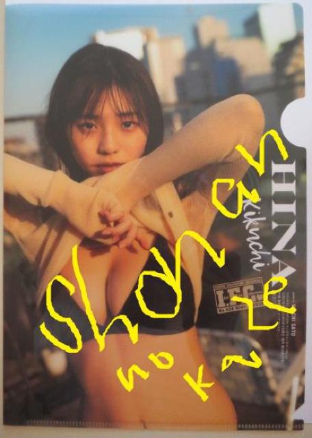 爆乳アイドル「菊池姫奈」のビキニ水着姿の未使用クリアファイル@です < タレントグッズ  爆乳アイドル「菊池姫奈」のビキニ水着姿の未使用クリアファイル@です  < タレントグッズの