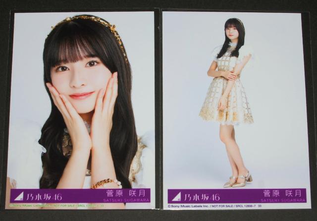 �T�؍�46�@�`�����X�͕����@���ʐ^�Q���Z�b�g�@�����猎  �� �^�����g�O�b�Y�� 