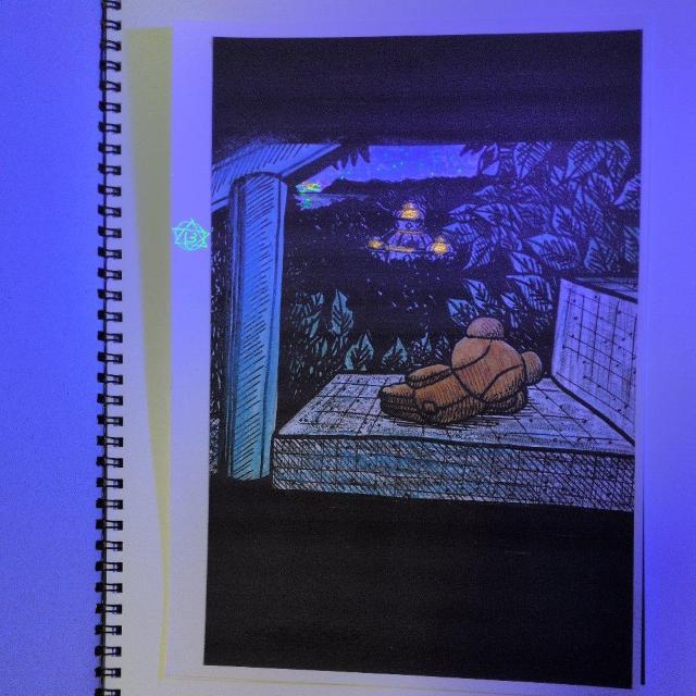 BLACKLIGHTmyPictureBOOK、Shangri-La、コグマちゃんストーリー、Season1.全19ページ < ホビー BLACKLIGHTmyPictureBOOK、Shangri-La、コグマちゃんストーリー、Season1.全19ページ < ホビーの