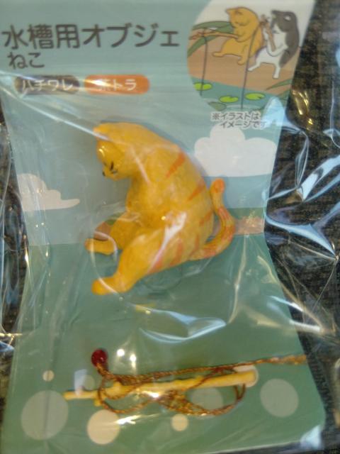 �˂��@��@�I�u�W�F�@���g���@����  �� �C���e���A/���C�t�� 