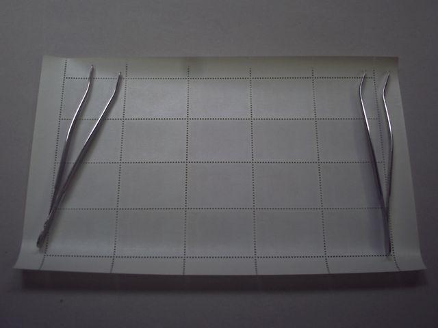 ygpzV[Y@PTW@pOd@PV[g  zr[ 