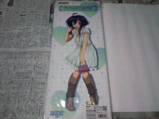 ネギま! トレーディング  ポスター 専用ファイル 第A弾 おまけ < ホビー  ネギま! トレーディング  ポスター 専用ファイル 第A弾 おまけ < ホビーの