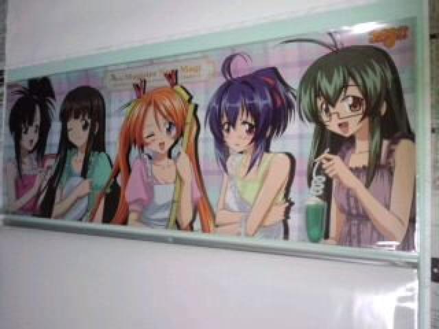 ネギま! トレーディング  ポスター 専用ファイル 第A弾 おまけ < ホビー  ネギま! トレーディング  ポスター 専用ファイル 第A弾 おまけ < ホビーの