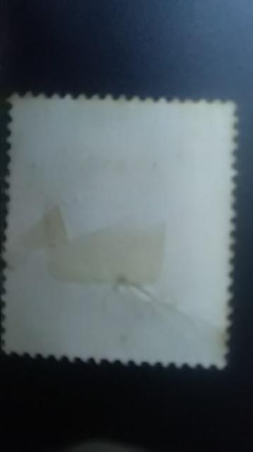 1955�N5�~�N��؎�1�����g�p�i