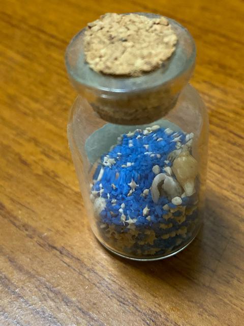 星の砂 < インテリア/ライフ 星の砂 < インテリア/ライフの