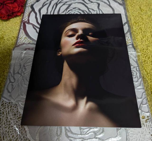 Wacoal/ワコール/salute/サルート/2024年-秋2025年春/2024Autumn−2025Spring/カタログ < 女性ファッション Wacoal/ワコール/salute/サルート/2024年-秋2025年春/2024Autumn−2025Spring/カタログ < 女性ファッションの