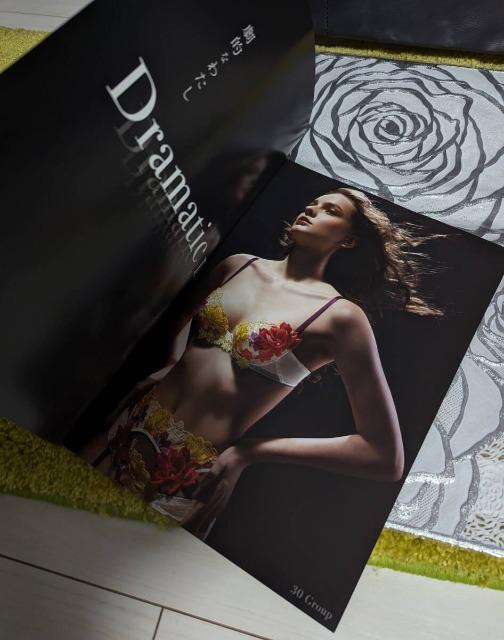 Wacoal/ワコール/salute/サルート/2024年-秋2025年春/2024Autumn−2025Spring/カタログ < 女性ファッション Wacoal/ワコール/salute/サルート/2024年-秋2025年春/2024Autumn−2025Spring/カタログ < 女性ファッションの