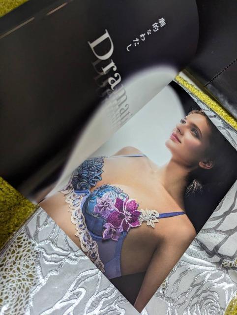 Wacoal/ワコール/salute/サルート/2024年-秋2025年春/2024Autumn−2025Spring/カタログ < 女性ファッション Wacoal/ワコール/salute/サルート/2024年-秋2025年春/2024Autumn−2025Spring/カタログ < 女性ファッションの