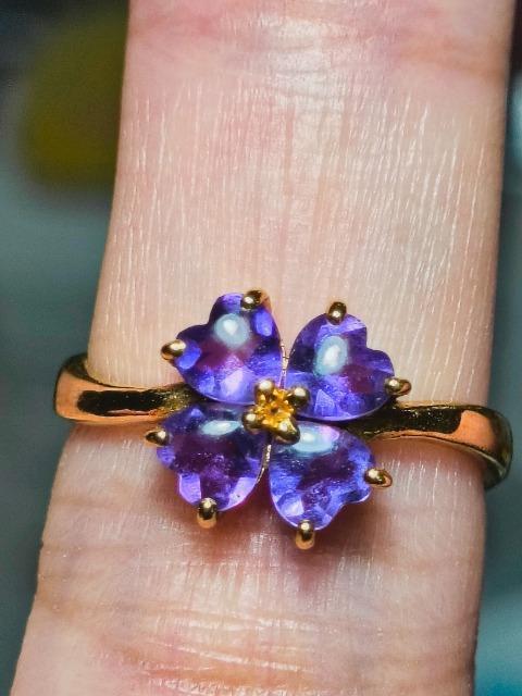 K^YK18AWXgN[o[O   ANZT[/v 