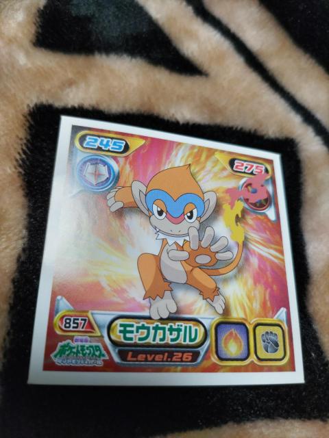 �|�P�����V�[����2009�s�J�`���E�v���W�F�N�g�����E�J�U�� 