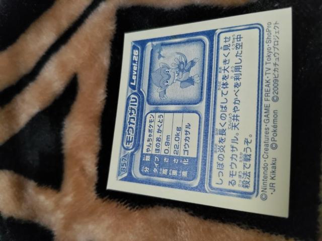 �|�P�����V�[����2009�s�J�`���E�v���W�F�N�g�����E�J�U��