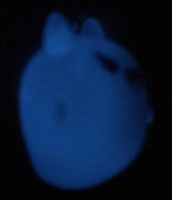 ÈłŌI킢IoP̃L[z_[ D@~   LN^[G L[O obOANZT[  t@bV 