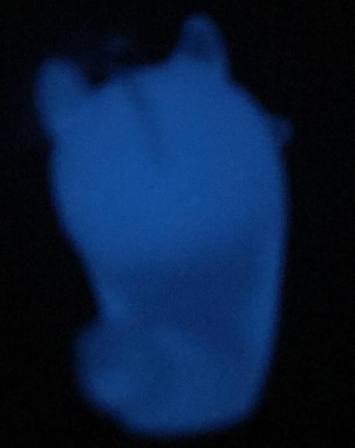 ÈłŌI킢IoP̃L[z_[ D@~   LN^[G L[O obOANZT[  t@bV 