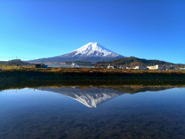 世界遺産 富士山 写真 水田逆さ富士 A4又は2L版 額付き < ホビー  世界遺産 富士山 写真 水田逆さ富士 A4又は2L版 額付き  < ホビーの
