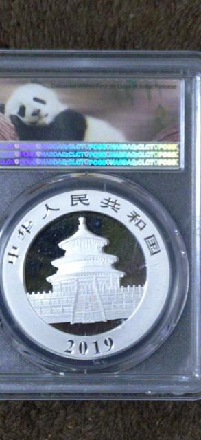 2019N p_ݕyPCGSōӒ@MS70zFIRST STRIKE  zr[ 