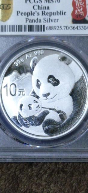 2019N p_ݕyPCGSōӒ@MS70zFIRST STRIKE  zr[ 