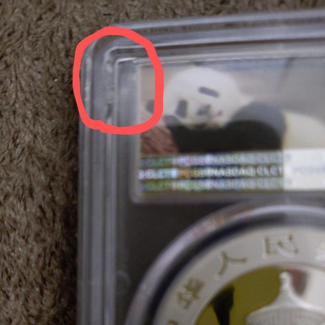 2019N p_ݕyPCGSōӒ@MS70zFIRST STRIKE  zr[ 