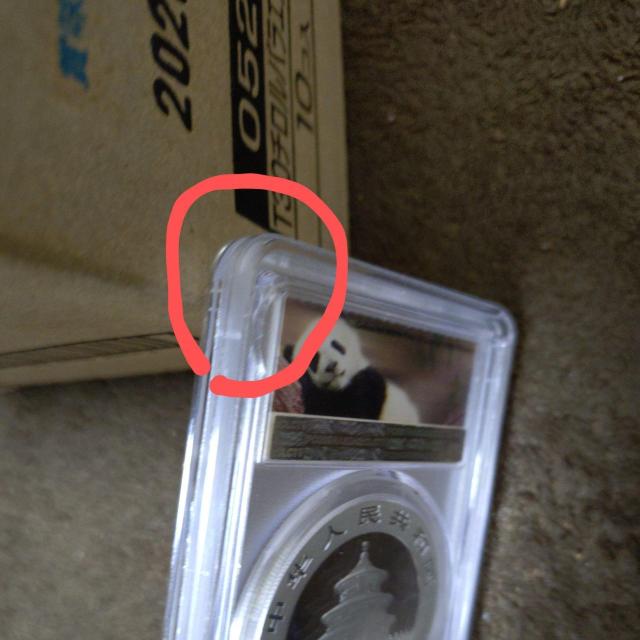 2019N p_ݕyPCGSōӒ@MS70zFIRST STRIKE  zr[ 