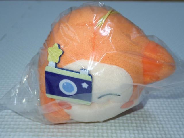 ̃J[rB łminiʂ hfB J  zr[ 