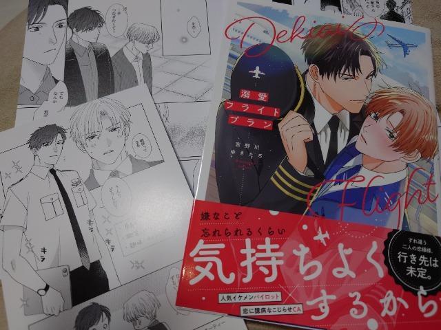 BL*リーフレット・両面カード付【溺愛フライトプラン】宮野川ゆきたろ < アニメ/コミック/キャラクター BL*リーフレット・両面カード付【溺愛フライトプラン】宮野川ゆきたろ < アニメ/コミック/キャラクターの