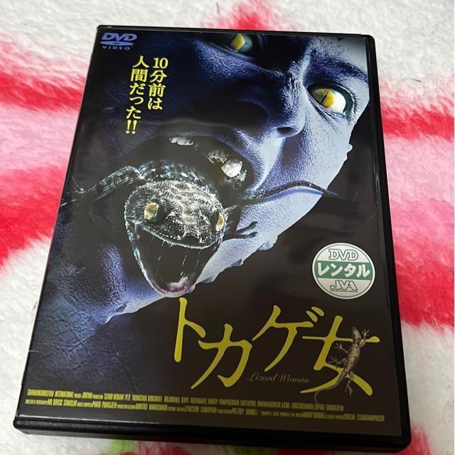 �iDVD/�m��E�z���[�j�g�J�Q��  �� CD/DVD/�r�f�I�� 