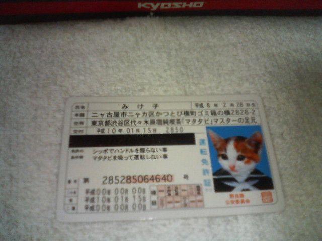 トレカ カバヤなめねこカードガム2 なめんなよ レアカード シルバー みけ子 < トレーディングカード トレカ カバヤなめねこカードガム2 なめんなよ レアカード シルバー みけ子 < トレーディングカードの