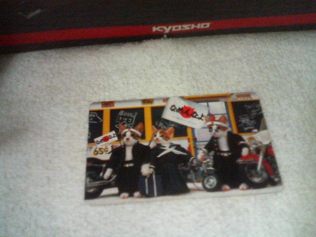 トレカ カバヤなめねこカードガム2 なめんなよ レアカード シルバー みけ子 < トレーディングカード トレカ カバヤなめねこカードガム2 なめんなよ レアカード シルバー みけ子 < トレーディングカードの