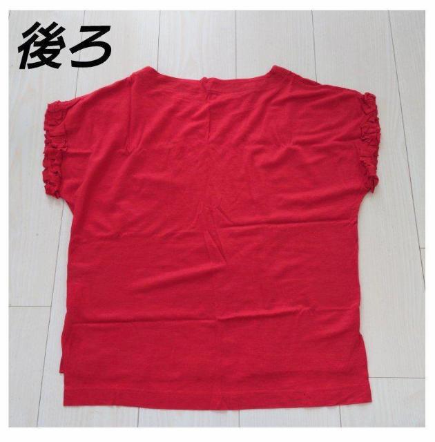 RehDg eZ100% tgbvX