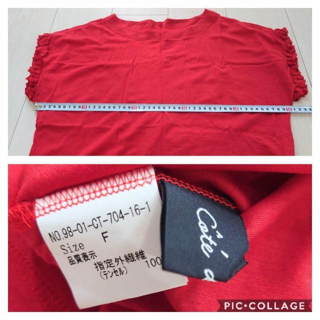 RehDg eZ100% tgbvX