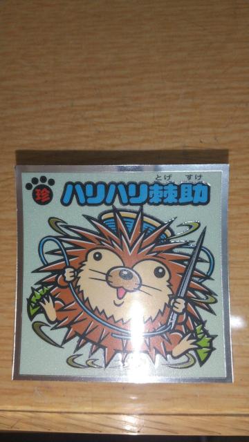 ハリハリ棘助 < ホビー ハリハリ棘助 < ホビーの