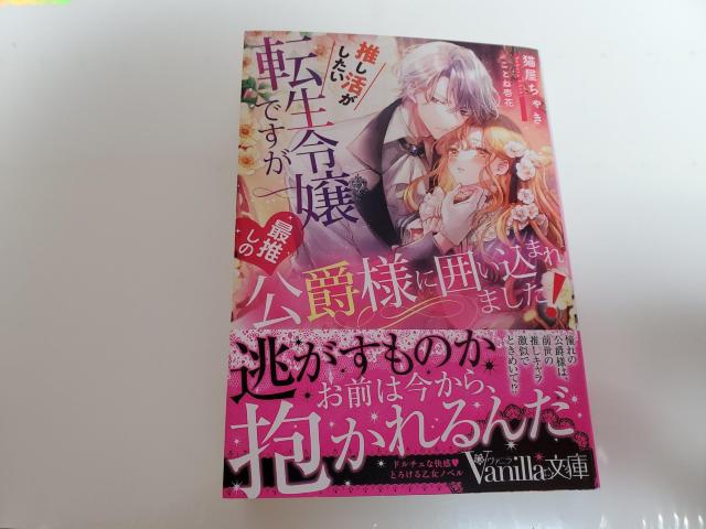 @jɁu]ߏłŐ̌ݗlɈ͂܂܂IvLႫƂˈԃCXg[V   {/G 