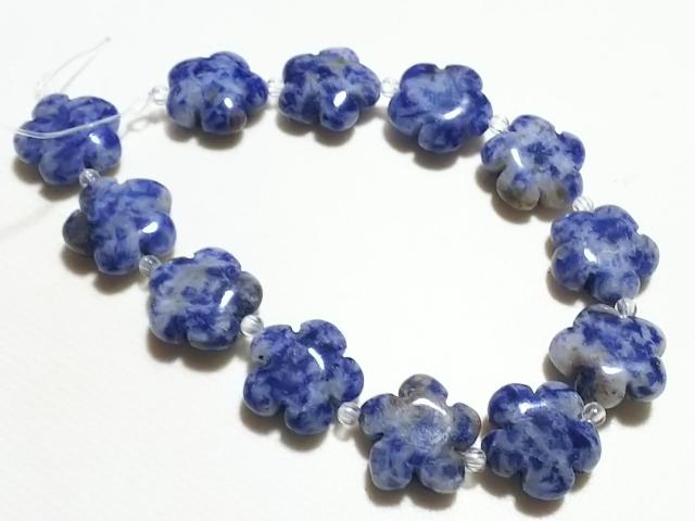 VR΁\[_Cg@@A   ANZT[/v 