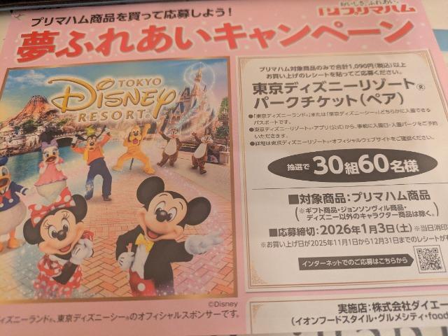 タイアップ東京ディズニーパークチケットペア当たるレシート1口分 < チケット/金券 タイアップ東京ディズニーパークチケットペア当たるレシート1口分 < チケット/金券の