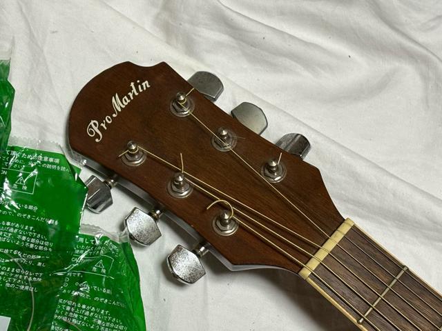 Pro Martin GAR@\tgP[X@tit 1920-01-1  CD/DVD/rfI 