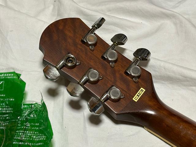 Pro Martin GAR@\tgP[X@tit 1920-01-1  CD/DVD/rfI 