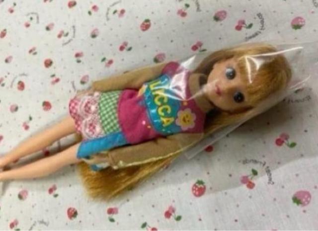 リカちゃん人形本体と写真の服のセット 写真が全てです 納得するまで見て下さい < おもちゃ リカちゃん人形本体と写真の服のセット 写真が全てです 納得するまで見て下さい < おもちゃの