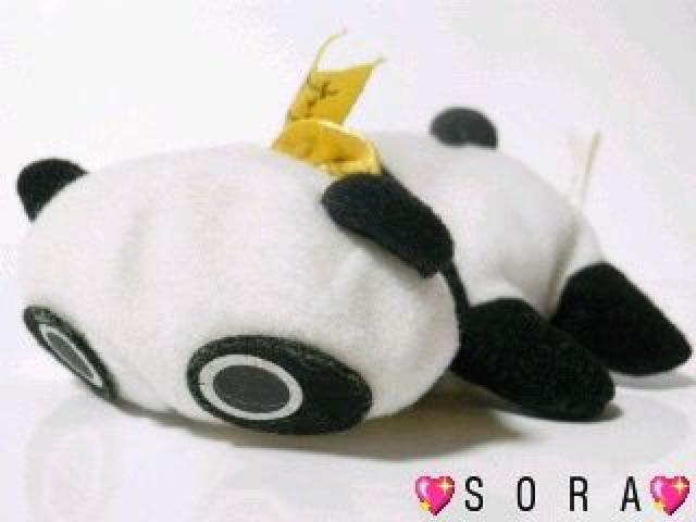 超キュート【たれぱんだ】ビーズぬいぐるみ < おもちゃ 超キュート【たれぱんだ】ビーズぬいぐるみ < おもちゃの