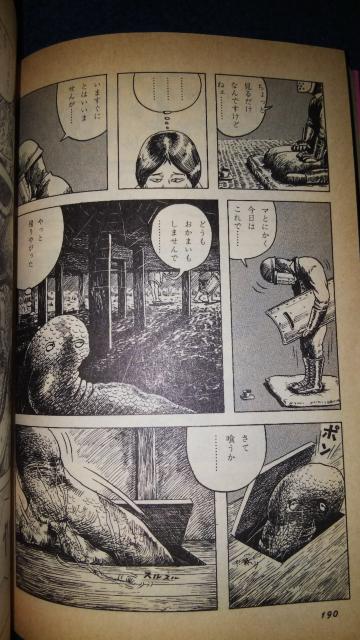 ���}���K�������ず���t����