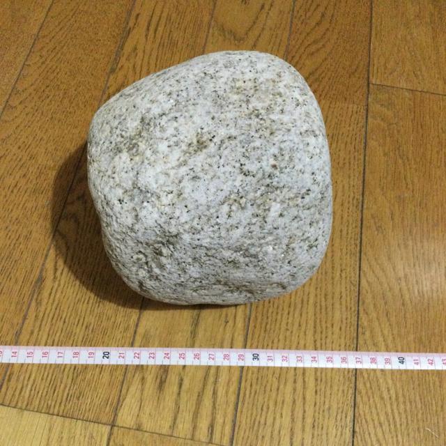#石 #アクアリウム#水槽#虫飼育#庭石#インテリア… B153 < ペット/手芸/園芸  #石 #アクアリウム#水槽#虫飼育#庭石#インテリア… B153  < ペット/手芸/園芸の