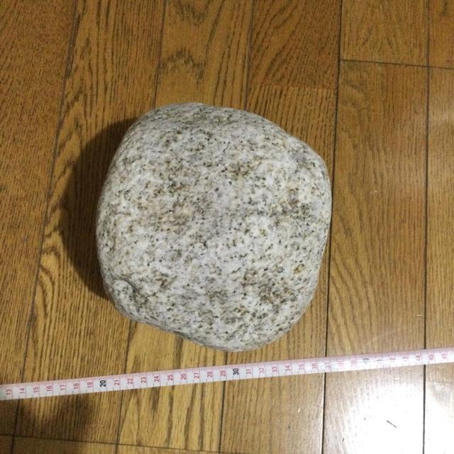 #石 #アクアリウム#水槽#虫飼育#庭石#インテリア… B153 < ペット/手芸/園芸  #石 #アクアリウム#水槽#虫飼育#庭石#インテリア… B153 < ペット/手芸/園芸の