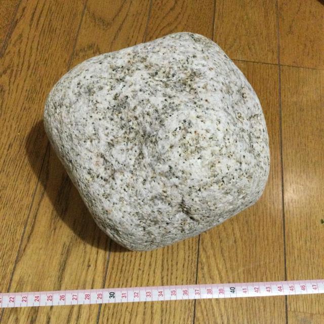 #石 #アクアリウム#水槽#虫飼育#庭石#インテリア… B153 < ペット/手芸/園芸  #石 #アクアリウム#水槽#虫飼育#庭石#インテリア… B153 < ペット/手芸/園芸の