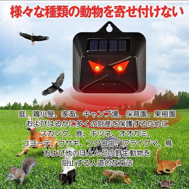 動物撃退器 ソーラー ライト点滅 猫よけ 鳥よけ 防犯 ネズミ コウモリ イノシシ フラッシュライト 獣害 キャンプ場 < ペット/手芸/園芸  動物撃退器 ソーラー ライト点滅 猫よけ 鳥よけ 防犯 ネズミ コウモリ イノシシ フラッシュライト 獣害 キャンプ場 < ペット/手芸/園芸の