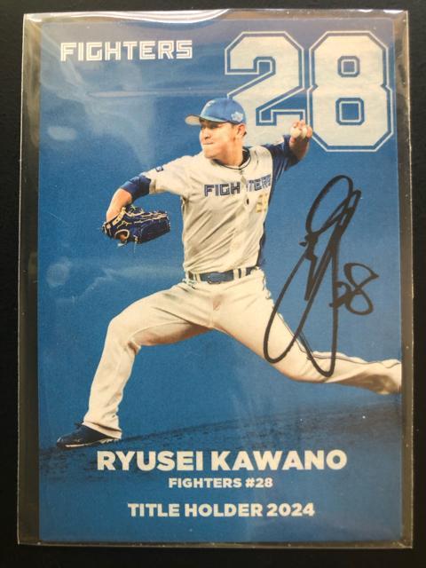 QOQTJr[싅Pe/T-PVEkC{nt@C^[YE͖엳m^Cgz_[J|hn   g[fBOJ[h 