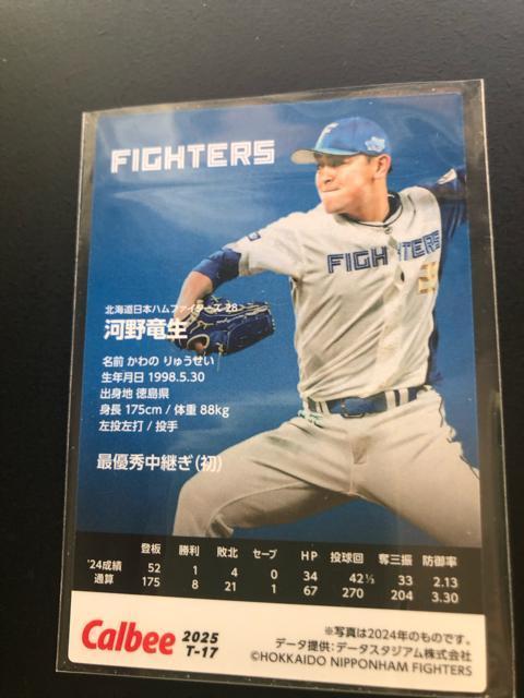 QOQTJr[싅Pe/T-PVEkC{nt@C^[YE͖엳m^Cgz_[J|hn  g[fBOJ[h 