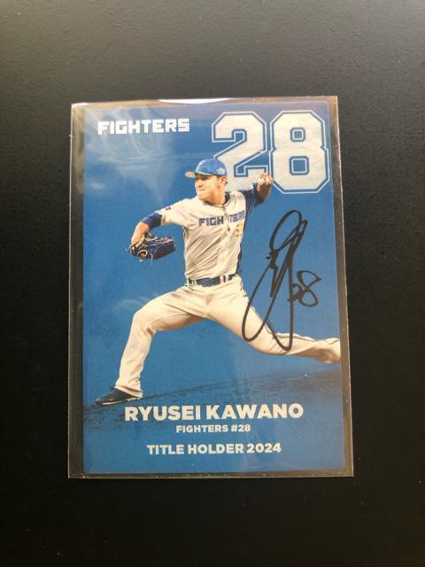 QOQTJr[싅Pe/T-PVEkC{nt@C^[YE͖엳m^Cgz_[J|hn  g[fBOJ[h 